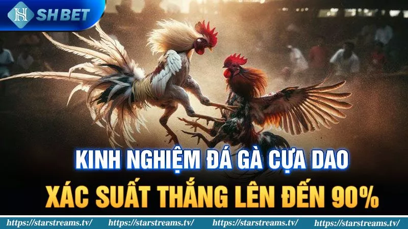 Đăng ký làm đại lý blog Vivu88 và nhận ngay ưu đãi giảm giá 50% - Vivu88