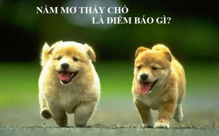 Sin88 đã triển khai một số hoạt động quảng bá quan trọng - Sin88