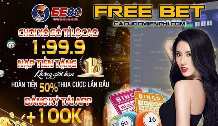 Những lý do dẫn đến thành công vượt trội của Letou - Letou