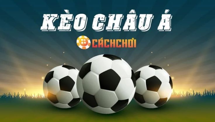 Tổng quan về trò chơi Ffok - Ffok