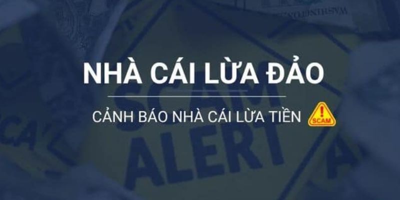 Đăng nhập vào Vn6 bằng điện thoại di động hoặc máy tính rất dễ dàng và tiện lợi - Vn6