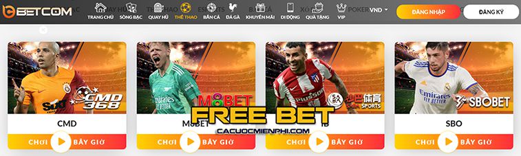 Người chơi có thể xem danh sách thăng hạng cấp độ Bancah5 mới nhất - Bancah5