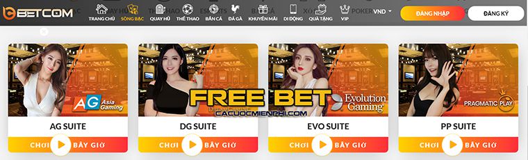 Tôi có nên đăng ký 88Vv bằng thông tin thật của mình không? - 88Vv