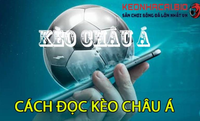 Cách chơi các trò chơi gia đình (đếm số) tại Câu lạc bộ Dafabet? - Dafabet