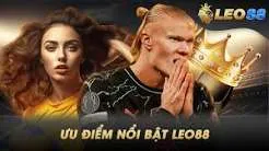 Lưu ý khi chơi các trò chơi bài cấp độ 9Dbet - 9Dbet
