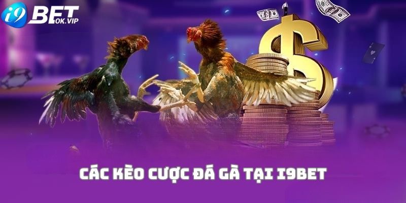 Một số thông tin cơ bản về trang web game Fi88 - Fi88