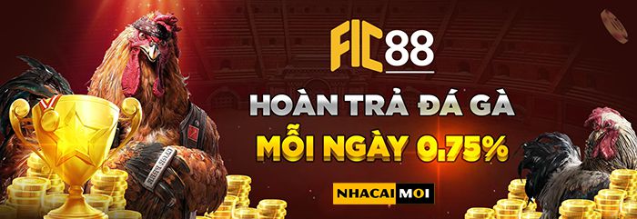 Thiên đường dành cho người mới bắt đầu Bigbet88 - Bigbet88